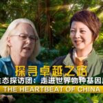 Exploring Dehong: China's Wild Heartbeat in Yunnan