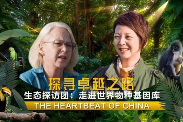 Exploring Dehong: China’s Wild Heartbeat in Yunnan Exploring Dehong: China's Wild Heartbeat in Yunnan