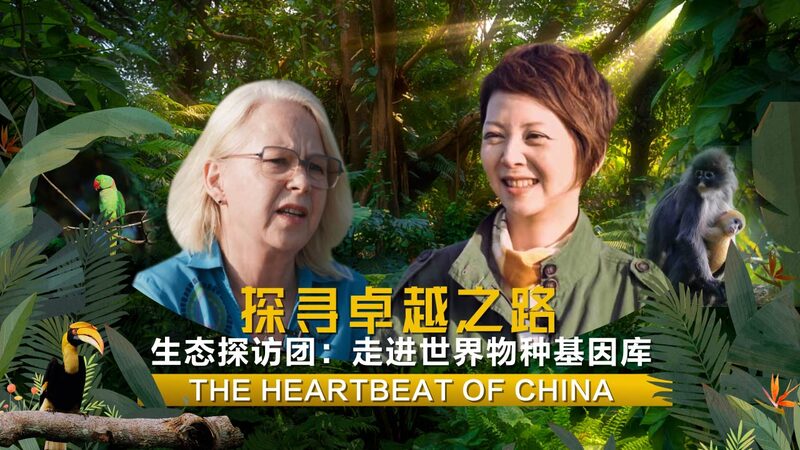 Exploring_Dehong_Chinas_Wild_Heartbeat_in_Yunnan - Khabar Asia Exploring Dehong: China's Wild Heartbeat in Yunnan