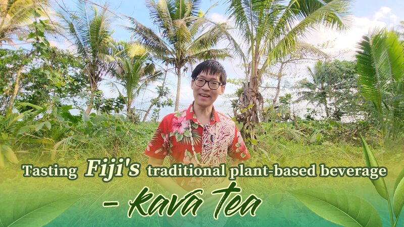 Exploring_Fijis_Traditional_Kava_Tea_A_Sip_into_Island_Culture_poster - Khabar Asia Exploring Fiji's Traditional Kava Tea: A Sip into Island Culture video poster