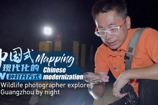 Exploring Guangzhou’s Nightlife: A Journey with Wildlife Photographer Li Junjie Exploring Guangzhou's Nightlife: A Journey with Wildlife Photographer Li Junjie video poster
