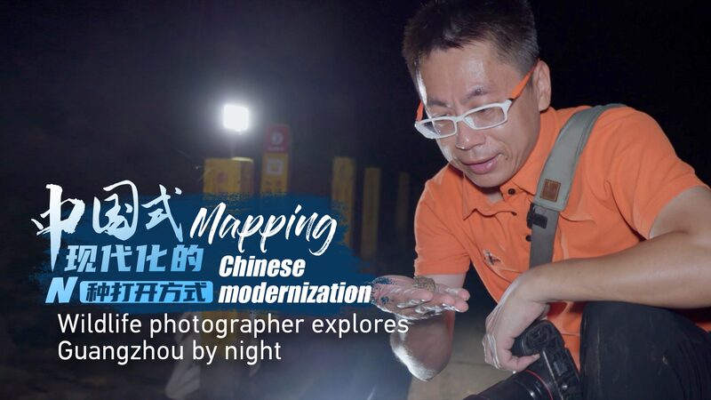 Exploring_Guangzhous_Nightlife_A_Journey_with_Wildlife_Photographer_Li_Junjie_poster - Khabar Asia Exploring Guangzhou's Nightlife: A Journey with Wildlife Photographer Li Junjie video poster