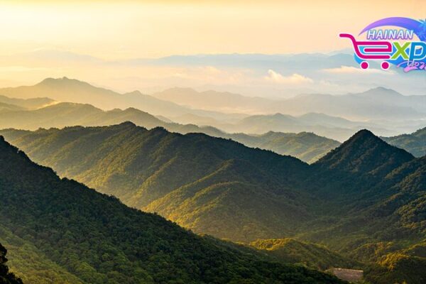 Exploring Hainan’s Jianfengling Rainforest: A Walk Through Ancient Wonders Exploring Hainan's Jianfengling Rainforest: A Walk Through Ancient Wonders
