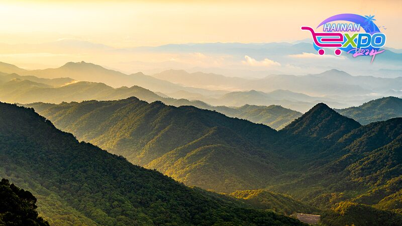 Exploring_Hainans_Jianfengling_Rainforest_A_Walk_Through_Ancient_Wonders - Khabar Asia Exploring Hainan's Jianfengling Rainforest: A Walk Through Ancient Wonders
