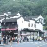 Exploring Hangzhou's Qinghefang Street: A Journey Through History