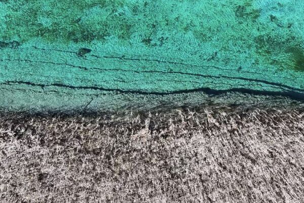 Exploring_Jiuzhaigou__China_s_Enchanting_Nature_Reserve video poster