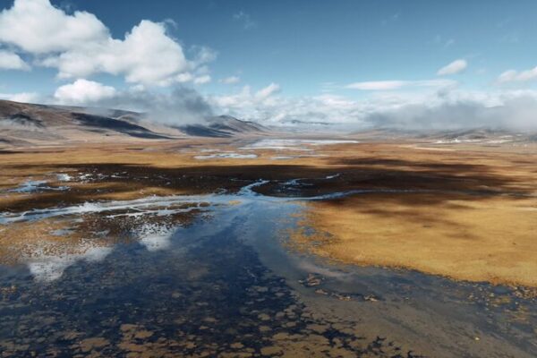 Exploring Longbaotan Wetlands: A High-Altitude Sanctuary in China’s Sanjiangyuan Exploring Longbaotan Wetlands: A High-Altitude Sanctuary in China's Sanjiangyuan video poster