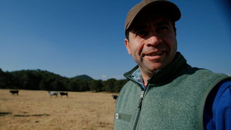 Exploring_Mexico_s_Bullfighting_Tradition_with_Rancher_Sergio_Hernandez_poster - Khabar Asia Exploring_Mexico_s_Bullfighting_Tradition_with_Rancher_Sergio_Hernandez video poster