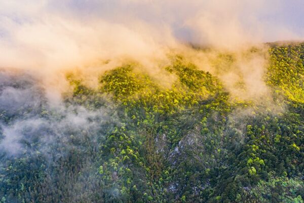 Exploring Mingxi County's Rich Birdlife: A Sanctuary for Migratory Birds video poster