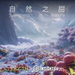 Exploring Nature's Sweet Treasures: From Xinjiang Grapes to Icelandic Sea Salt video poster