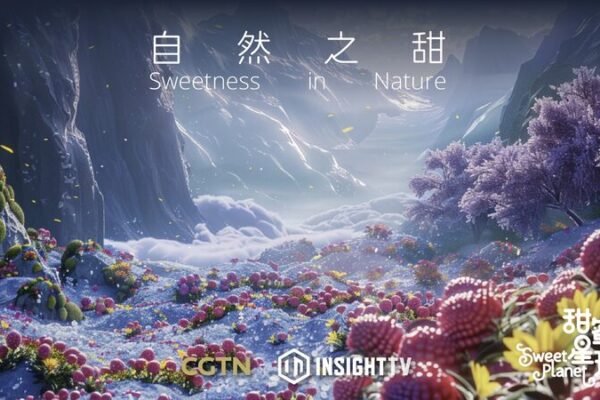 Exploring Nature’s Sweet Treasures: From Xinjiang Grapes to Icelandic Sea Salt Exploring Nature's Sweet Treasures: From Xinjiang Grapes to Icelandic Sea Salt video poster