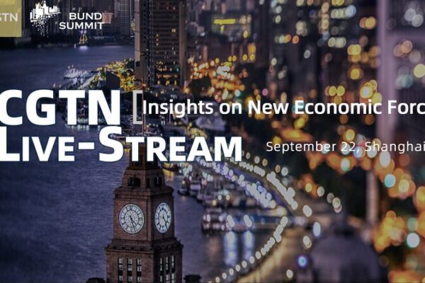 Exploring New Economic Forces at the Bund Summit: Insights into Global Recovery video poster