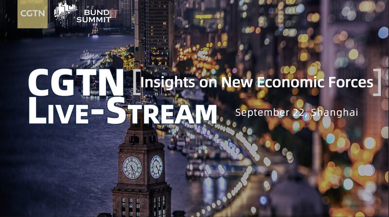 Exploring New Economic Forces at the Bund Summit: Insights into Global Recovery video poster