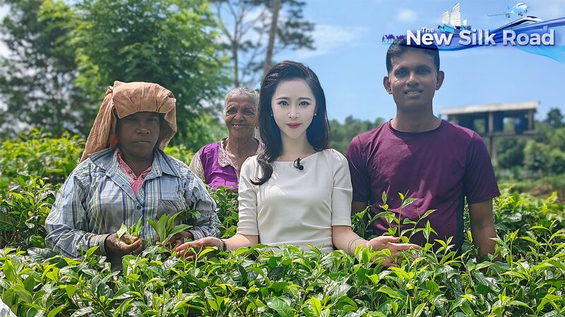 Exploring Sri Lanka's Rich Tea Culture in the Central Highlands video poster