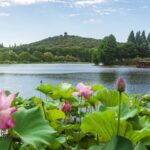 Exploring_Wuxi__The_Rising_Star_of_Affluence_and_Romance