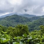 Exploring Wuzhi Mountain: Hainan's Majestic Five-Finger Peak video poster