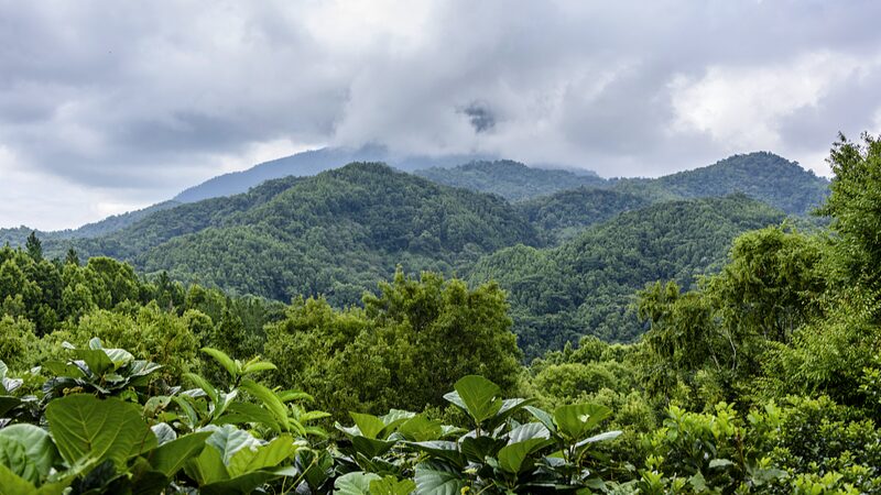 Exploring_Wuzhi_Mountain_Hainans_Majestic_Five-Finger_Peak_poster-1 - Khabar Asia Exploring Wuzhi Mountain: Hainan's Majestic Five-Finger Peak video poster