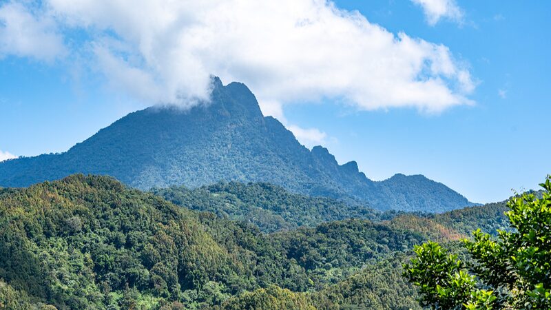 Exploring_Wuzhi_Mountain_The_Majestic_Peak_of_Hainan_Province_poster - Khabar Asia Exploring Wuzhi Mountain: The Majestic Peak of Hainan Province video poster
