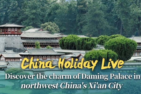 Exploring Xi’an’s Daming Palace: Unveiling the Ancient Capital’s Timeless Charm Exploring Xi'an's Daming Palace: Unveiling the Ancient Capital's Timeless Charm video poster