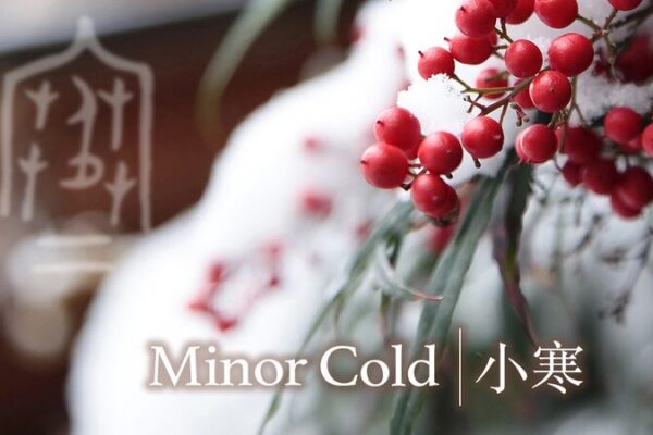 Exploring ‘Minor Cold’ Through Chinese Calligraphy Exploring__Minor_Cold__Through_Chinese_Calligraphy