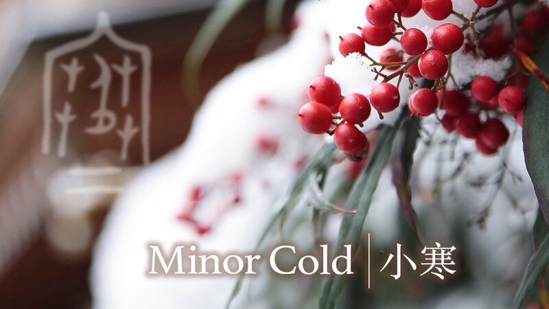 Exploring__Minor_Cold__Through_Chinese_Calligraphy - Khabar Asia Exploring__Minor_Cold__Through_Chinese_Calligraphy