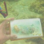 Exploring__Saltwater_Skies___Bruno_Gadenne_s_Underwater_Odyssey_at_DUMONTEIL_Shanghai video poster