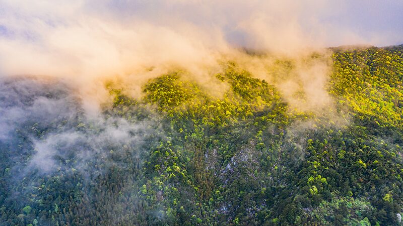 Exploring_the_Avian_Diversity_of_Mingxi_County_A_Vital_Stopover_on_the_East_Asia-Australia_Flyway - Khabar Asia Exploring the Avian Diversity of Mingxi County: A Vital Stopover on the East Asia-Australia Flyway