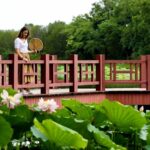 Exploring the Enchanting Beauty of Beijing's Old Summer Palace video poster