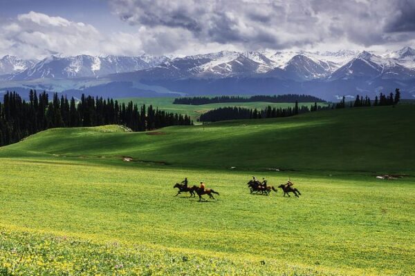 Exploring the Enchanting Kalajun Grassland in China’s Xinjiang Region Exploring the Enchanting Kalajun Grassland in China's Xinjiang Region video poster