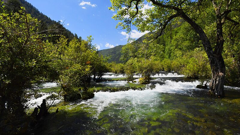 Exploring_the_Enchanting_Lakes_and_Waterfalls_of_Shuzheng_Valley_in_Jiuzhaigou_poster - Khabar Asia Exploring the Enchanting Lakes and Waterfalls of Shuzheng Valley in Jiuzhaigou video poster