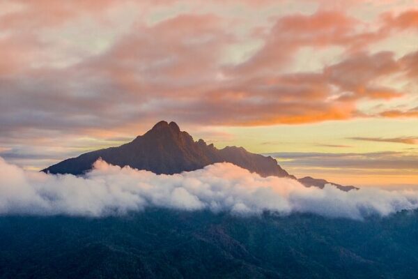Exploring the Majestic Wuzhi Mountain: Hainan's Highest Peak video poster