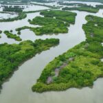 Exploring_the_Majestic__Forests_on_the_Sea__in_South_China_s_Guangdong_Province