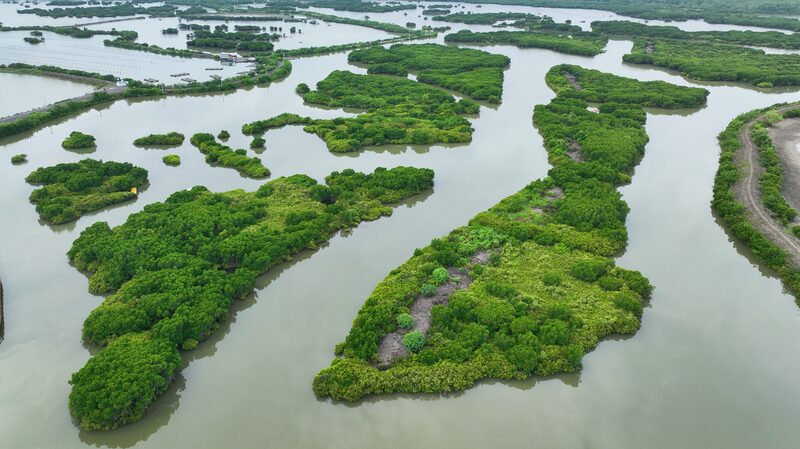 Exploring_the_Majestic__Forests_on_the_Sea__in_South_China_s_Guangdong_Province - Khabar Asia Exploring_the_Majestic__Forests_on_the_Sea__in_South_China_s_Guangdong_Province