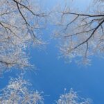 Exploring the Winter Wonders of Xinjiang's Wusu Foshan National Forest Park video poster