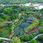 Exploring the World's Largest Peony Garden in Heze, China's Peony Capital video poster