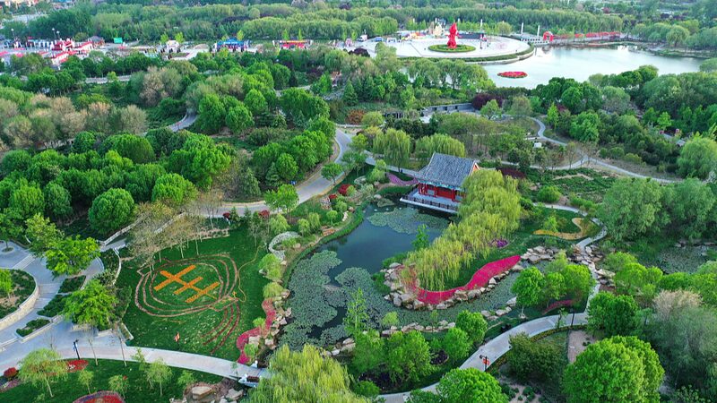 Exploring the World's Largest Peony Garden in Heze, China's Peony Capital video poster