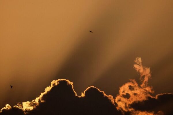 Extreme_Heat_Wave_Hits_Kuwait_as_Temperatures_Soar_Above_50_C