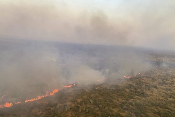 Extreme Heat Wave in Western Australia Elevates Bushfire Risk Extreme Heat Wave in Western Australia Elevates Bushfire Risk