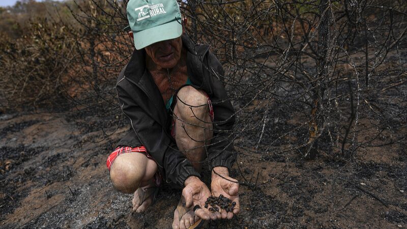 Extreme_Weather_Threatens_to_Push_Coffee_Prices_Even_Higher - Khabar Asia Extreme_Weather_Threatens_to_Push_Coffee_Prices_Even_Higher