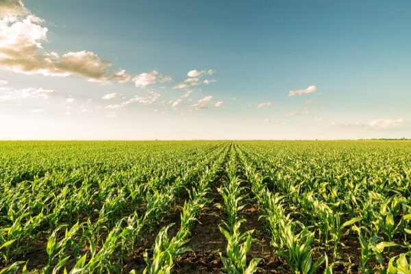 Extreme Weather to Challenge New Zealand Agriculture for Next Decade, Experts Say Extreme Weather to Challenge New Zealand Agriculture for Next Decade, Experts Say