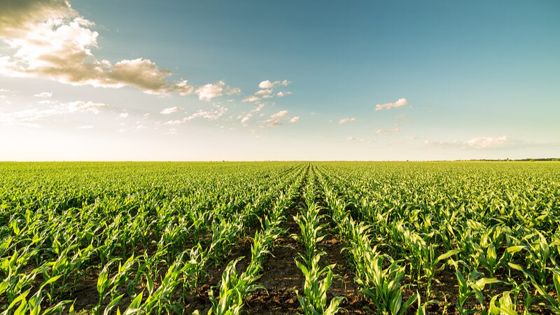 Extreme Weather to Challenge New Zealand Agriculture for Next Decade, Experts Say
