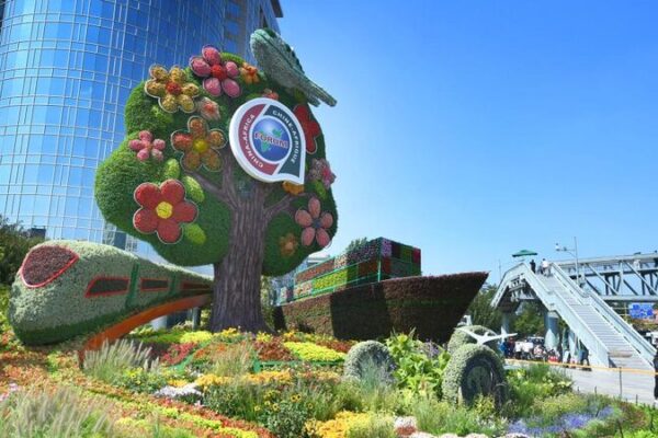 FOCAC_Strengthens_China_Africa_Agricultural_Ties__Boosting_Development_and_Trade