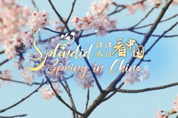 Fanjingshan: China’s Enigmatic Peak and Buddhist Sanctuary Fanjingshan: China's Enigmatic Peak and Buddhist Sanctuary video poster
