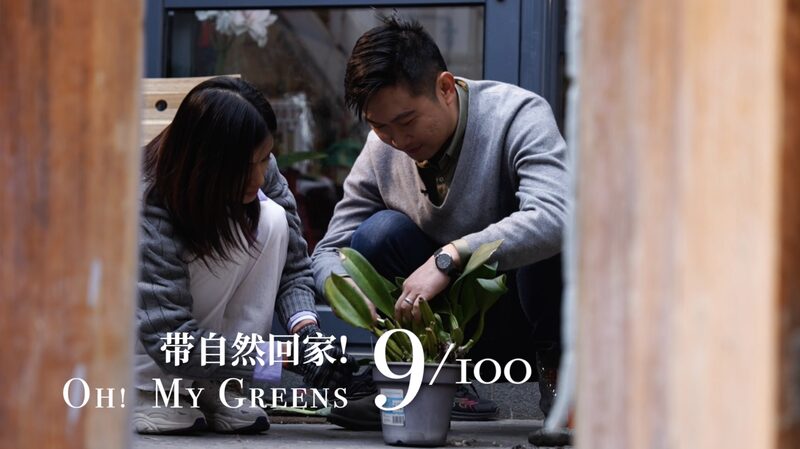 Farewell_to_a_Rooftop_Garden_Liang_Sis_Last_Days_in_Beijings_Hutongs_poster - Khabar Asia Farewell to a Rooftop Garden: Liang Si's Last Days in Beijing's Hutongs video poster