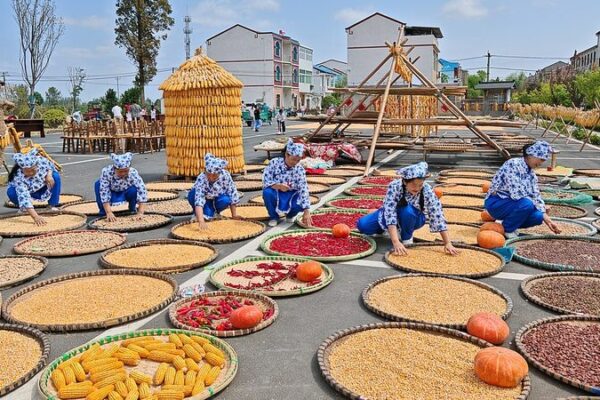 Farmers Across China Celebrate Bountiful Harvest at National Festival Farmers_Across_China_Celebrate_Bountiful_Harvest_at_National_Festival