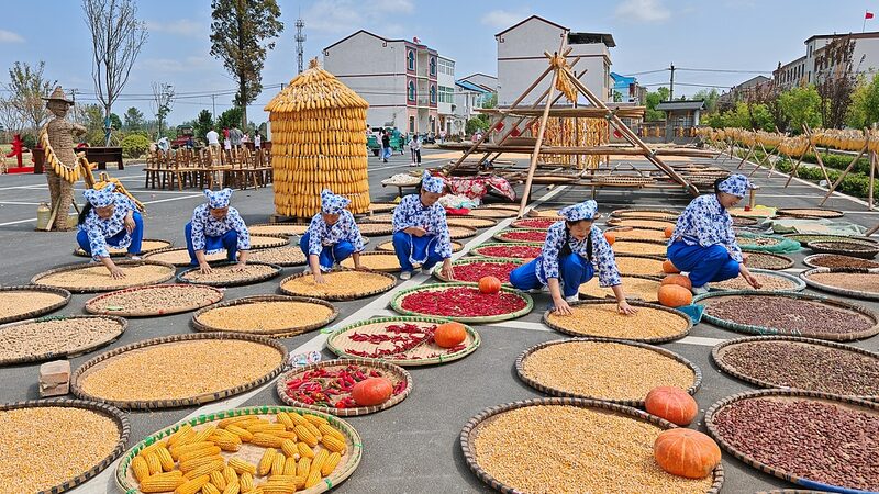 Farmers_Across_China_Celebrate_Bountiful_Harvest_at_National_Festival - Khabar Asia Farmers_Across_China_Celebrate_Bountiful_Harvest_at_National_Festival