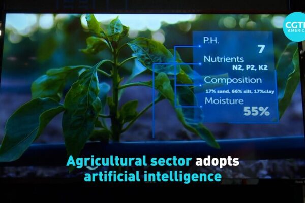 Farmers Embrace AI: Transforming Agriculture with Advanced Technologies Farmers_Embrace_AI__Transforming_Agriculture_with_Advanced_Technologies video poster