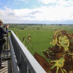 Farmers_Transform_Rice_Fields_into_Living_Art_in_Shenyang - Khabar Asia Farmers Transform Rice Fields into Living Art in Shenyang
