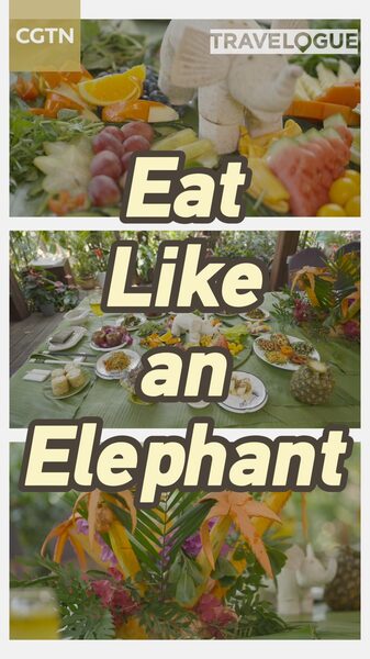 Feast_Like_an_Elephant_A_Gastronomic_Adventure_in_Xishuangbannas_Elephant_Valley_poster - Khabar Asia Feast Like an Elephant: A Gastronomic Adventure in Xishuangbanna's Elephant Valley video poster