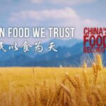 Feeding 1.4 Billion: China's Strategy for Food Security Unveiled video poster
